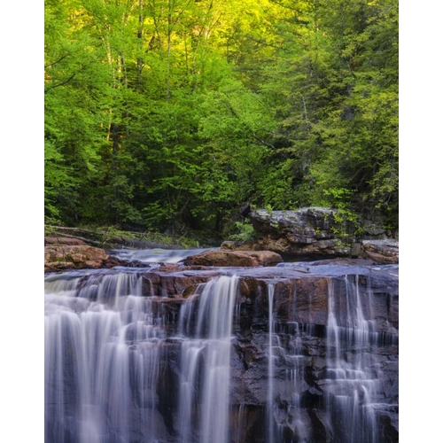 West Virginia, Davis, Blackwater Falls The falls
